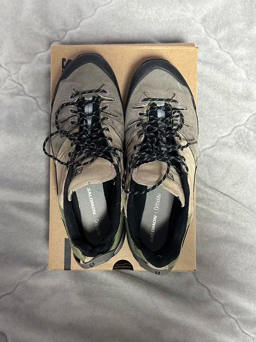 LTR Pewter