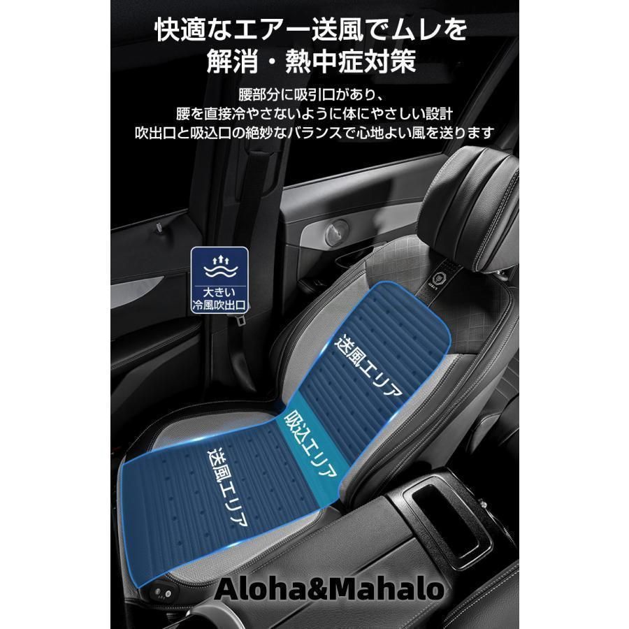 2025最新