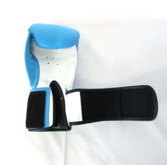 マニー・パッキャオ サイン付きボクシンググローブ 青色 左のみ