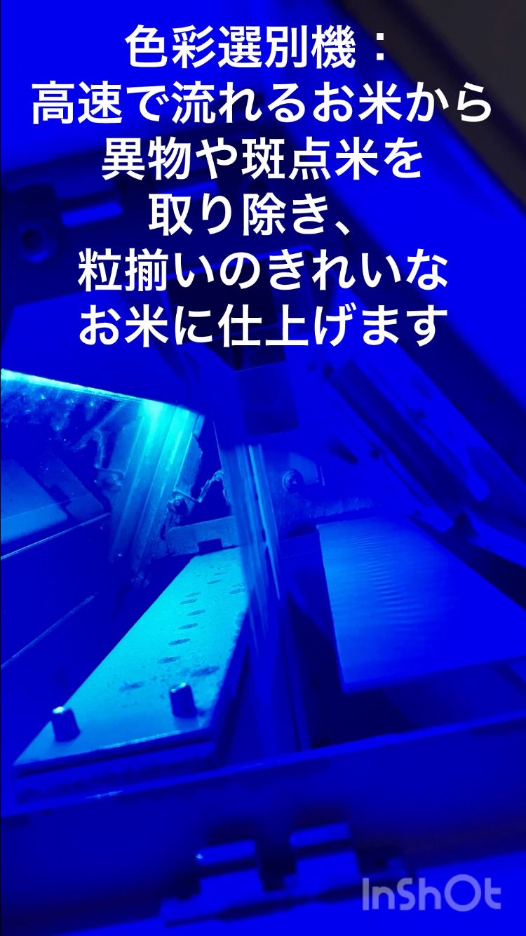 お米マイスター厳選