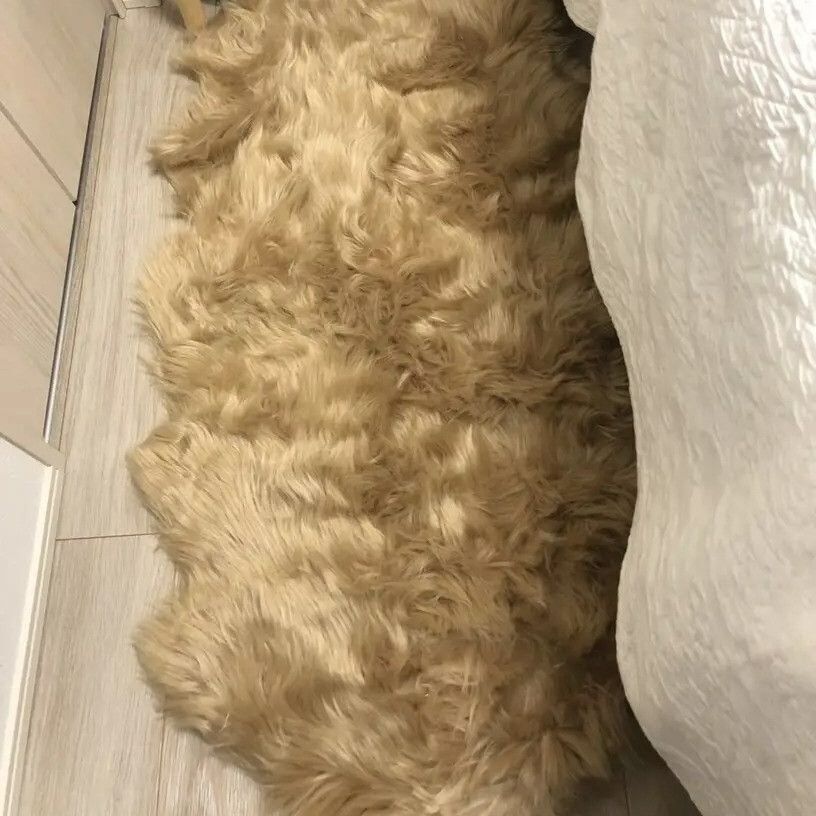 ふわふわ