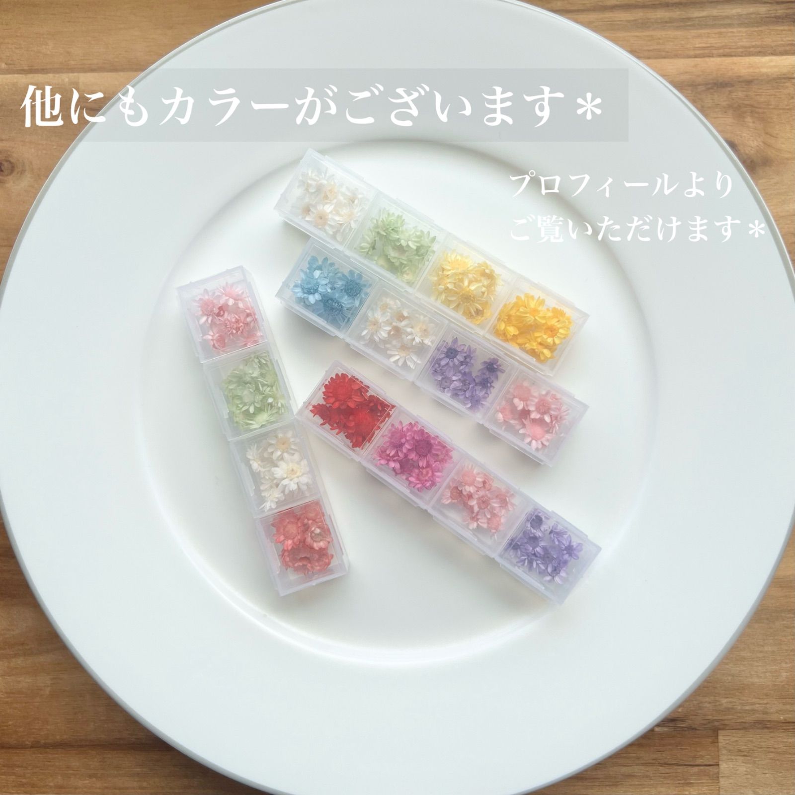 ⑤【スターフラワー】4色セット ドライフラワー 花材 レジン ハーバリウム ハンドメイド 素材