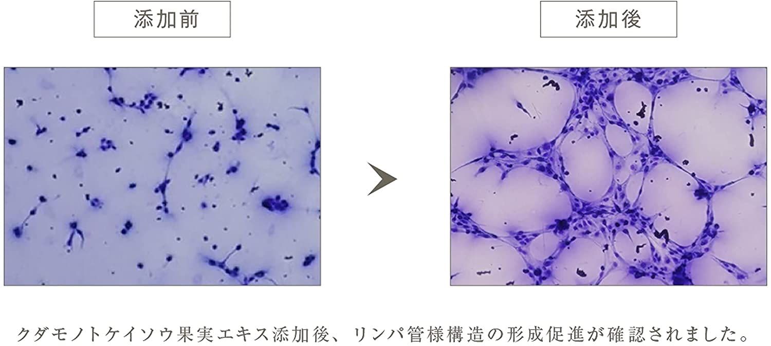 セルリファーム