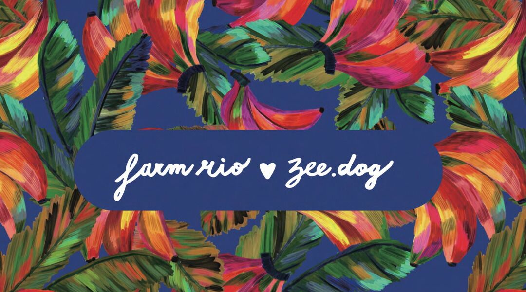 RIOコレクション 760106