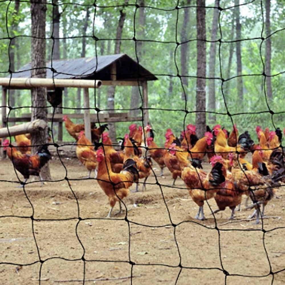 鳥よけネット 畑 ネット 3m×30m ブラック バードネット 長さカット