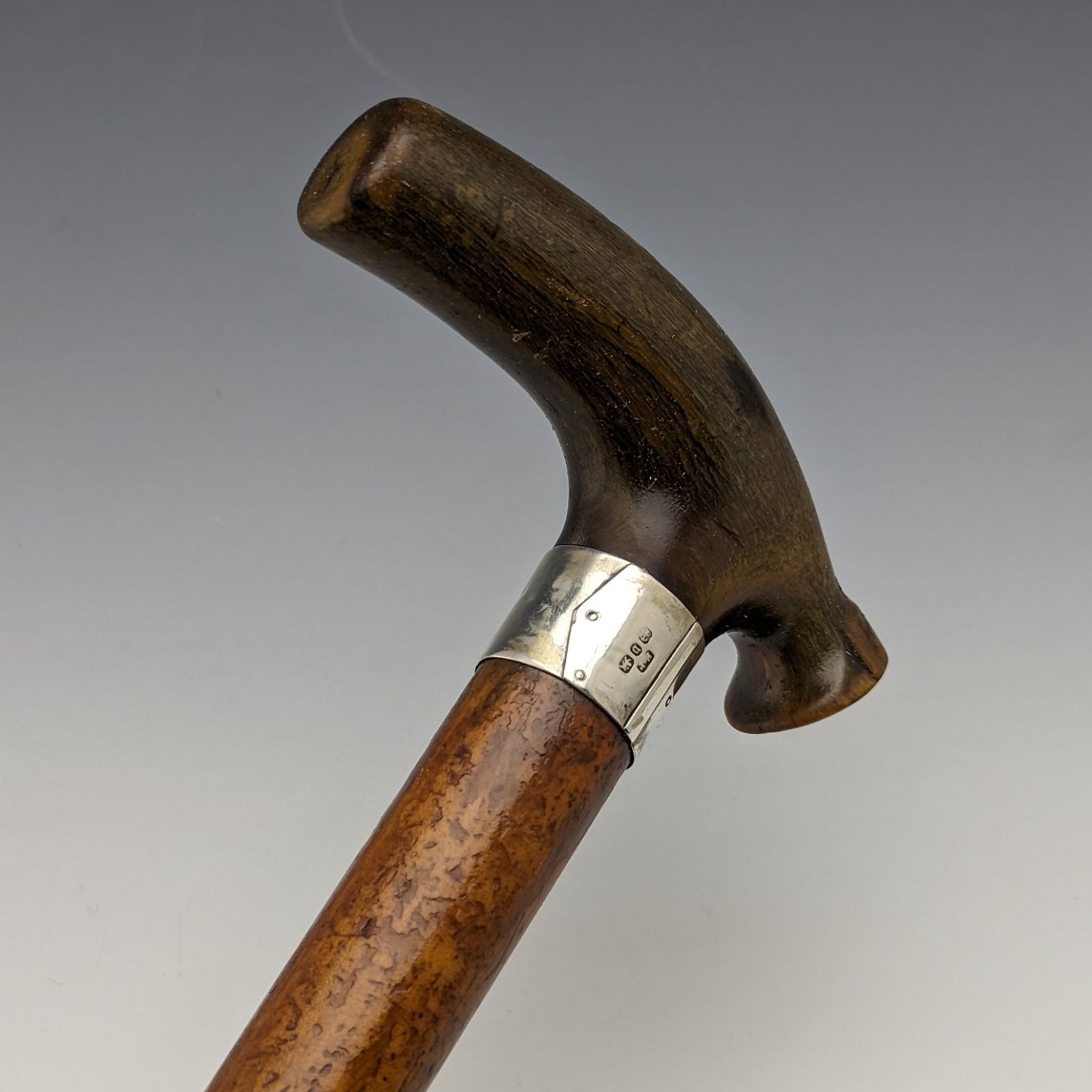 1895年 英国アンティーク 紳士用ステッキ 軽量マラッカ藤 ホーンクラッチハンドル 81cm