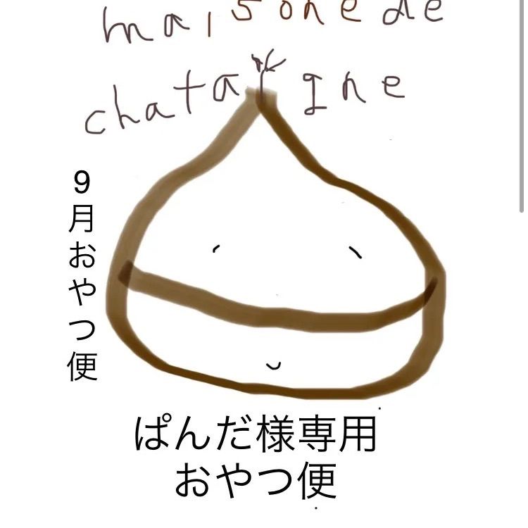 ぱんだ様専用 パンダ様専用ウィッグオーダー確認ページ 数少ない