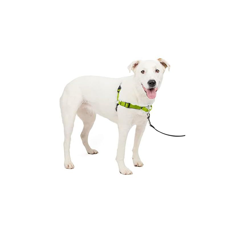 ペットセーフ Petsafe 犬用 ハーネス デラックス イージーウォーク 中型〜大型犬 M/L サイズ Deluxe Easy Wal イージーウォークハーネス デラックス PetSafe
