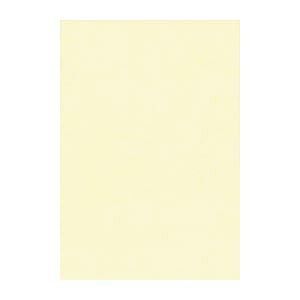 リンテック ニュー Ｒ 8 NCR 112 うすクリーム