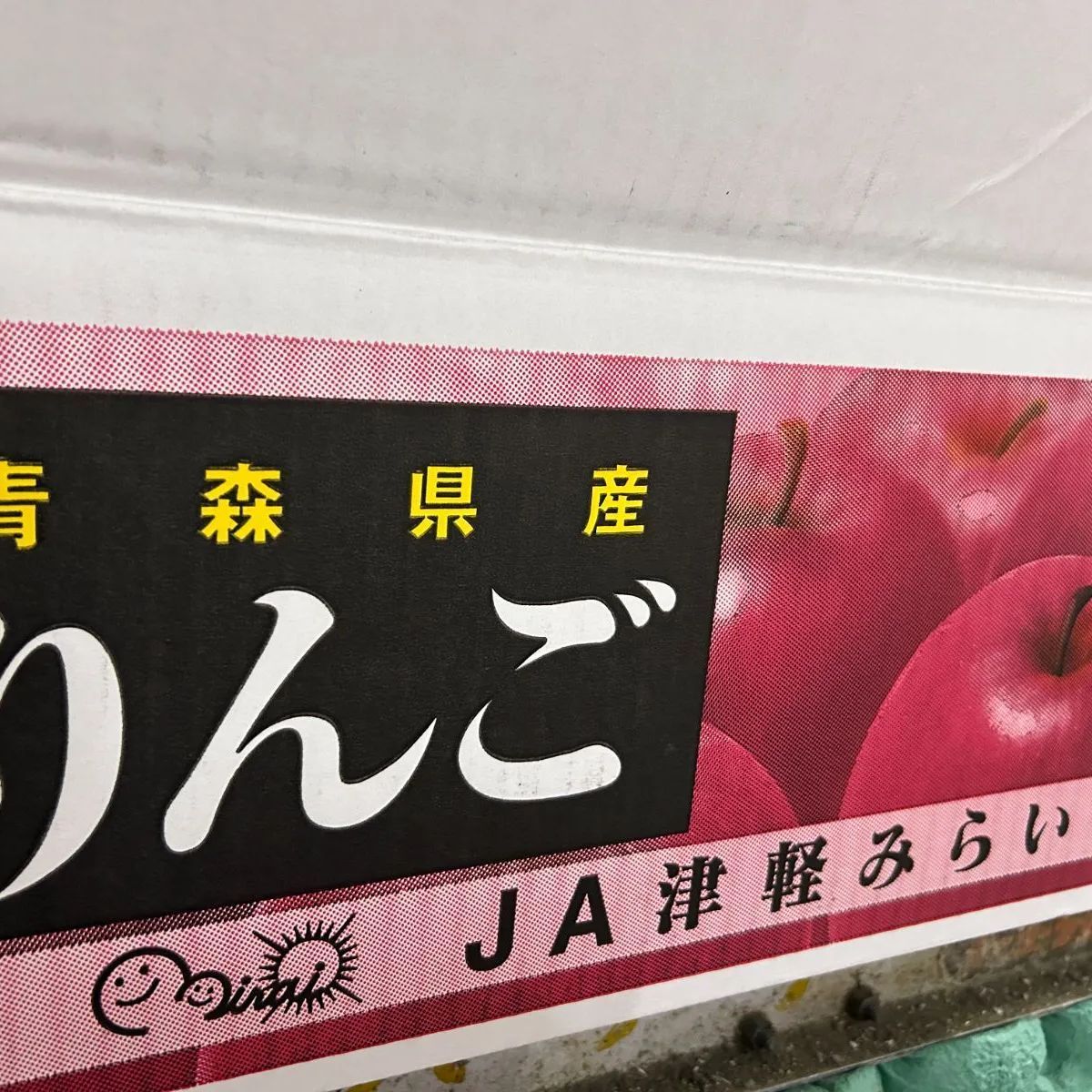 ≫ サンフジ