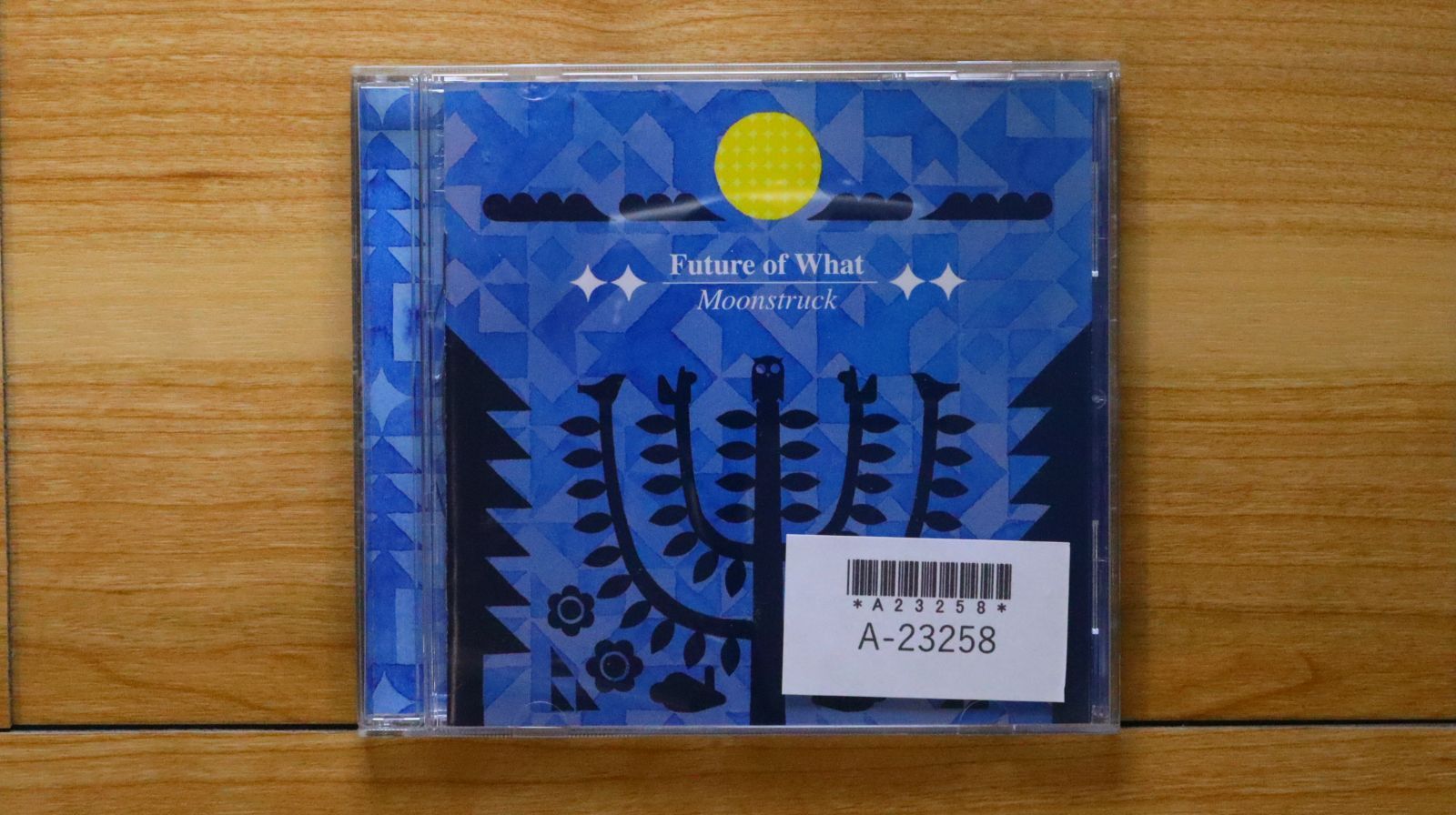 ロツクビッチ☆CD☆国内盤 国内盤CD☆山口由子/Yuko Yamaguchi□ フェッシー・パーク