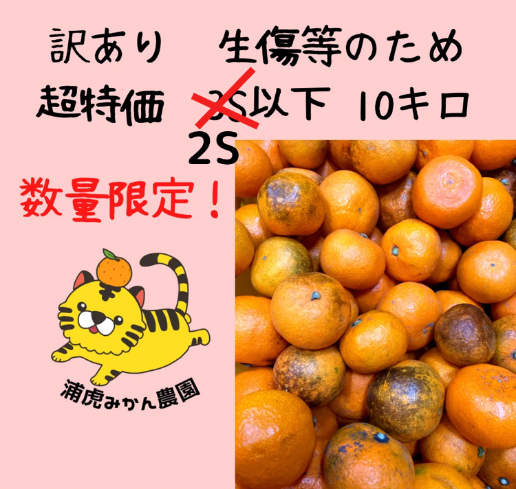 【訳ありのため大特価！】和歌山県有田産　有田みかん　加工用(生傷等) 10キロ