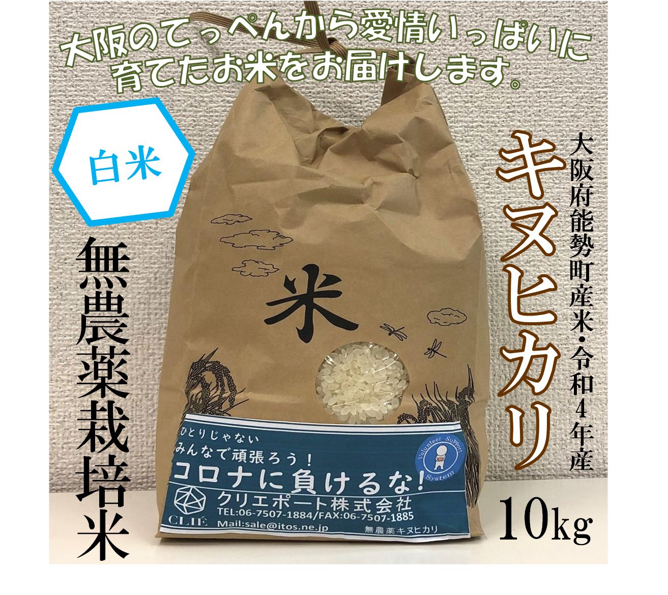 【令和４年産/無農薬栽培】大阪のてっぺんキヌヒカリ白米10kg大阪府能勢産