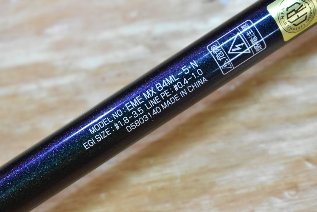 アオリイカ コウイカ