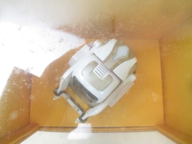 ANKI