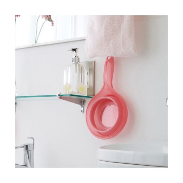 マキシマム様専用】訳あり 昔ながらの梅干し 4キロ 5L 規格外 #59 完熟