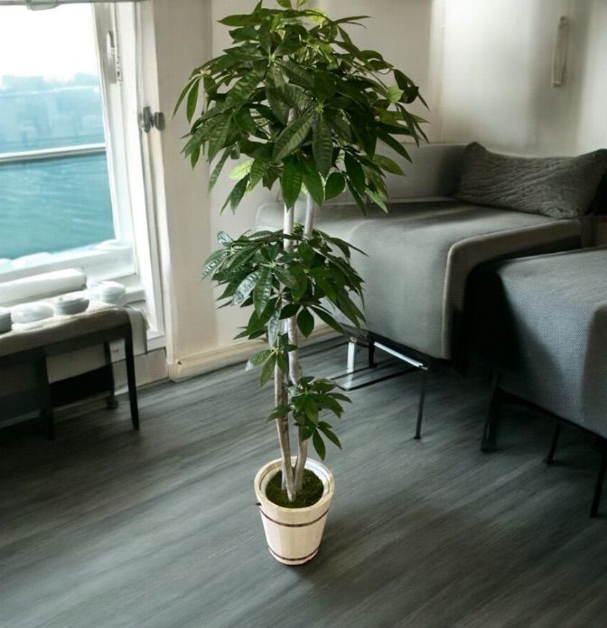 光触媒 人工観葉植物 ウォールグリーン フェイクグリーン パキラ特大