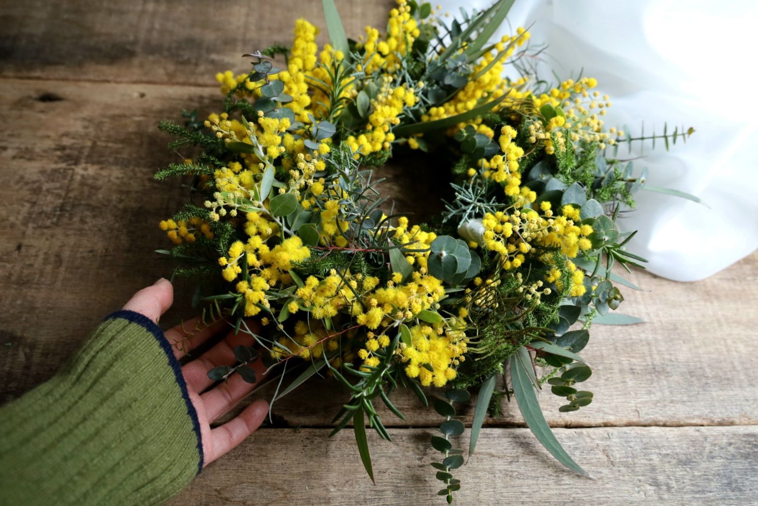 真珠葉アカシアとグリーンのフライングリース 真珠葉アカシアとグリーンのフライングリース