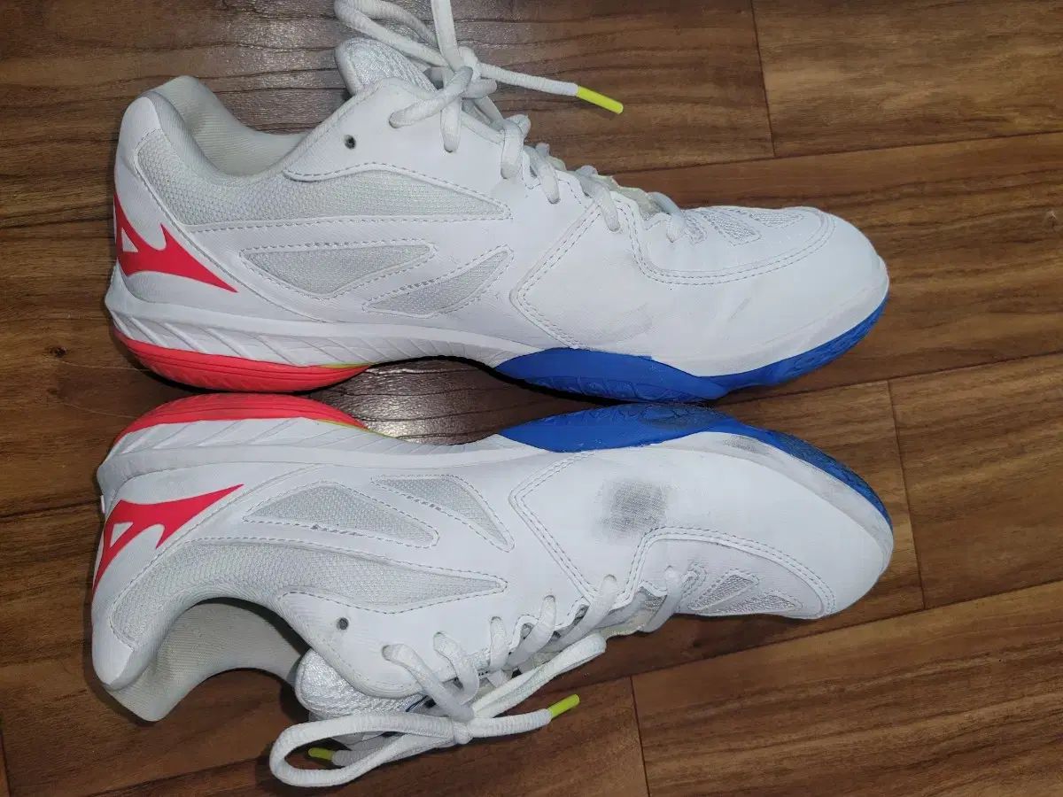 バドミントンシューズ 255