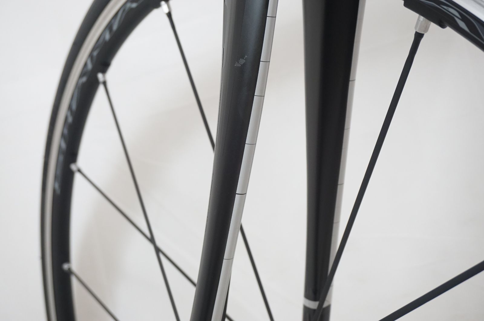 CAYO 2017年モデル