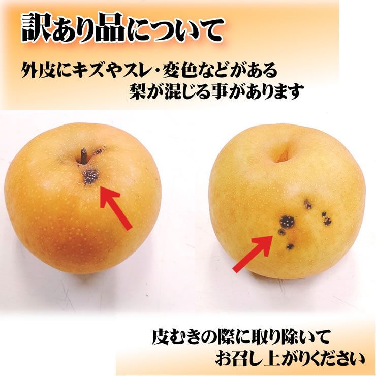 のサムネイル