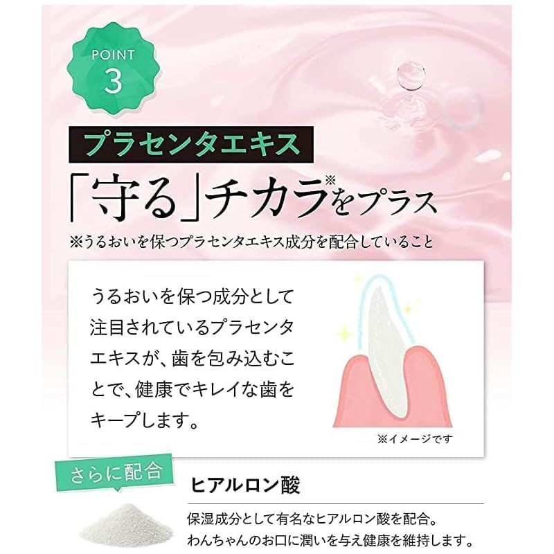 Dr. Dental Wan ドクター デンタルワン ビーフ味 30g 2本
