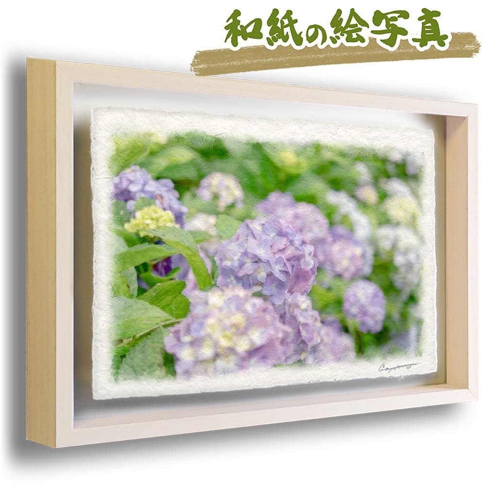 和紙の絵写真 「薄ピンク色のアジサイ」 立体額縁付き 38x27cm 絵画 インテリア 玄関 風水 風景画 アート パネル ポスター おしゃれ 新築祝い 絵 壁掛け 和モダン 和風 ジャパンディ夏 ピンク 