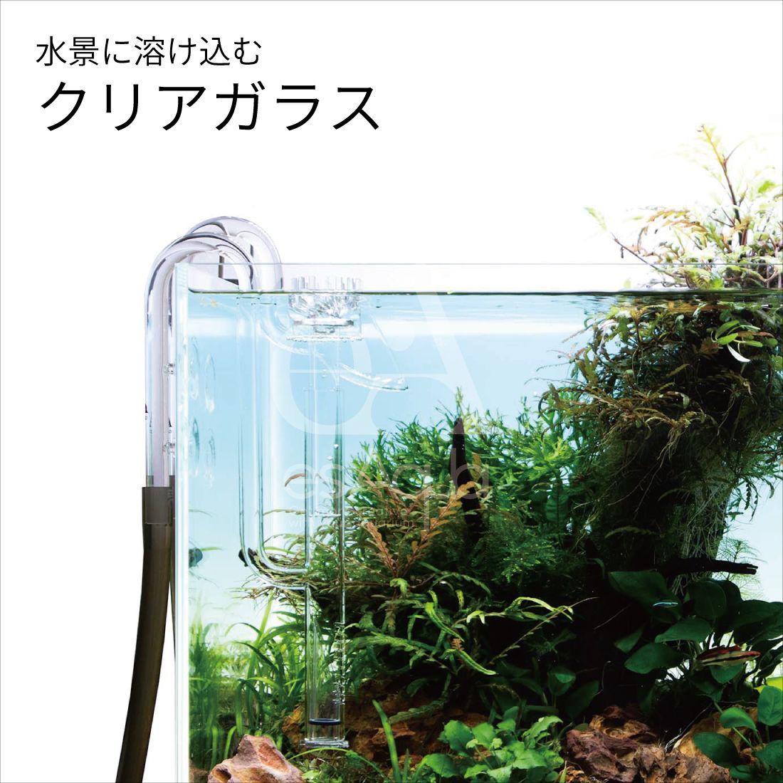 新品 リリィパイプ ・ヘッド(アダプター2個付)｜Yahoo!フリマ