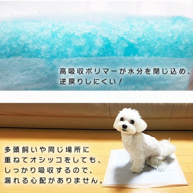 ワイド