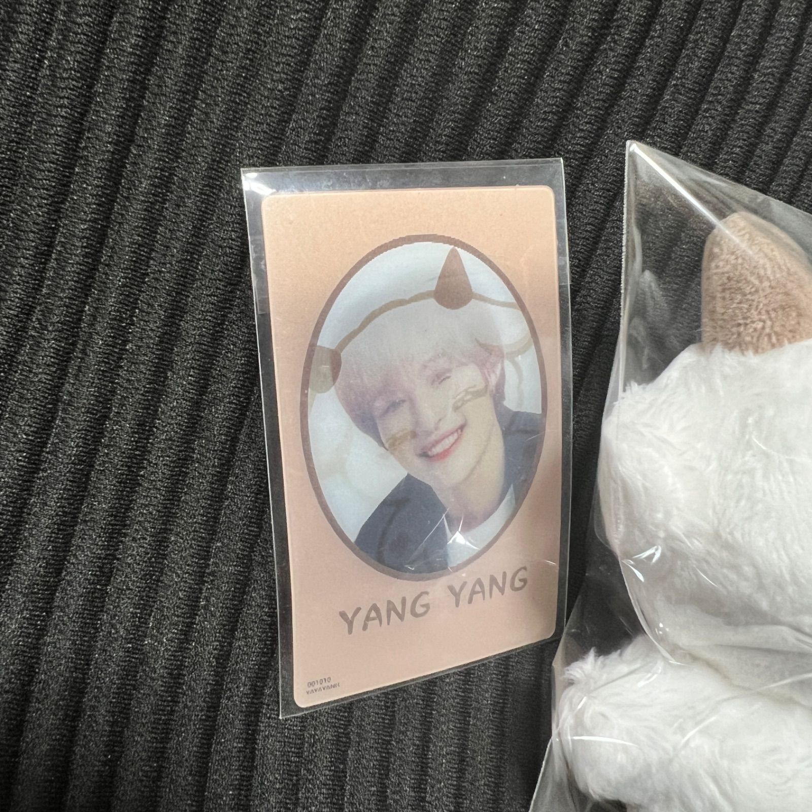 wayv ヤンヤン　ぬいぐるみ　10cm 新品　マスター　NCT wayv ヤンヤン ぬいぐるみ 10cm 新品 マスター nct - メルカリ