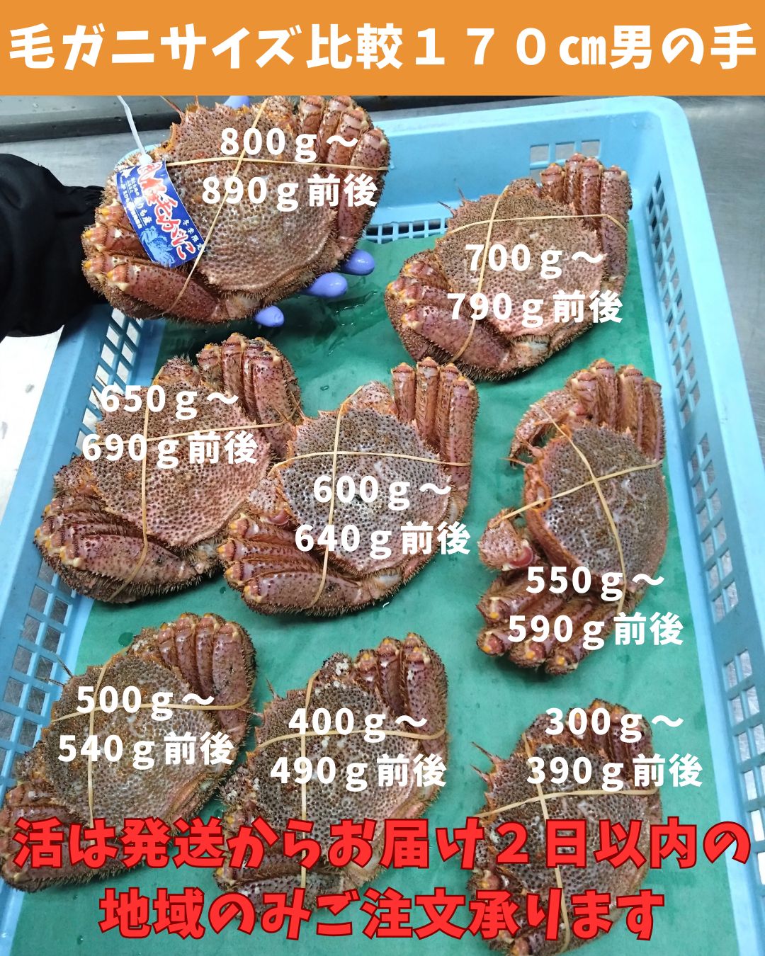 １尾800ｇ～890ｇ