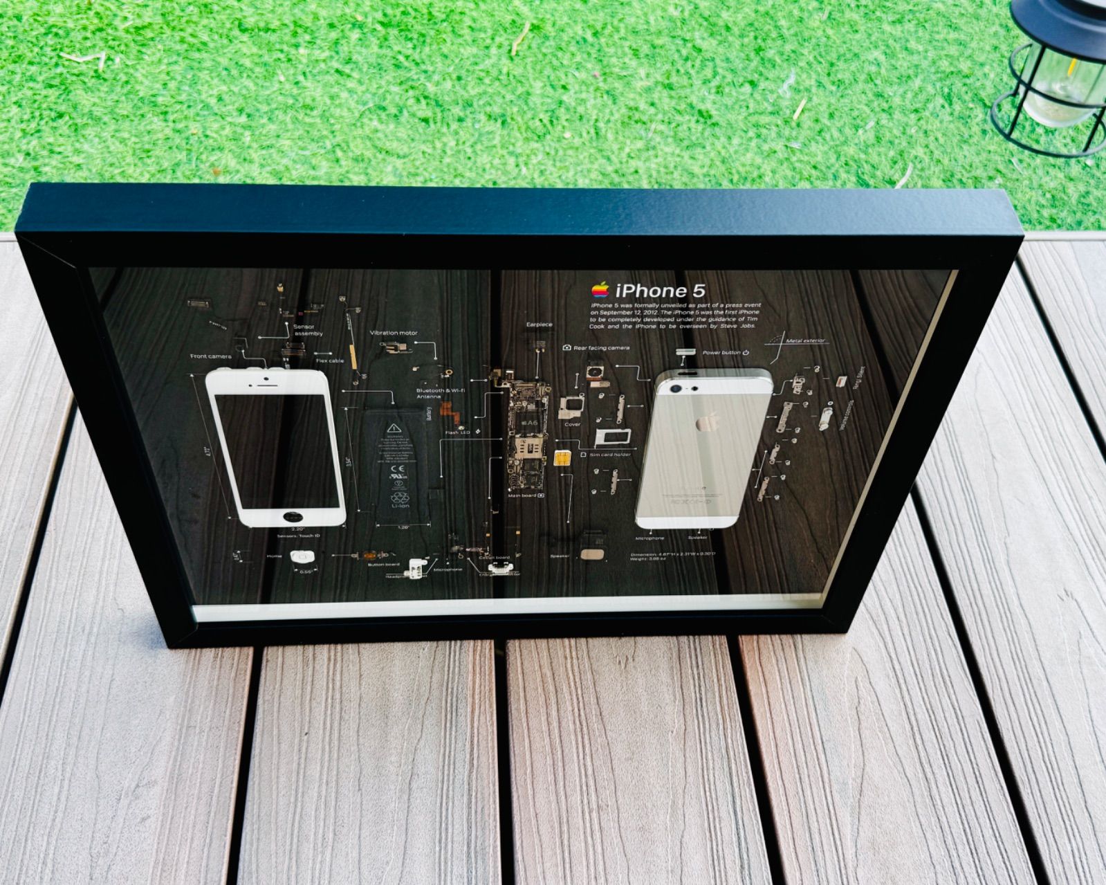 iPhone 5 White 標本アート ボックスフレーム - メルカリ
