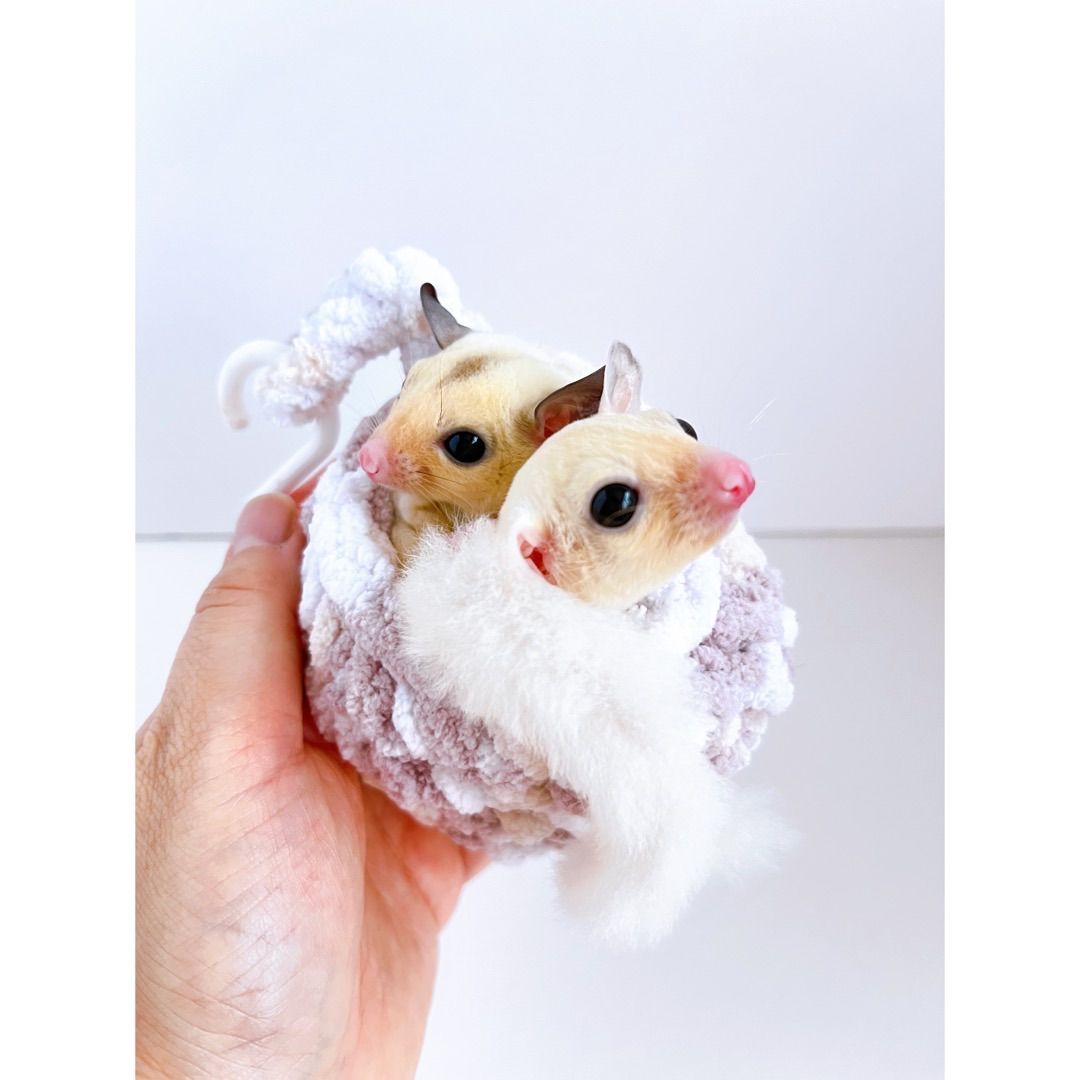 モモンガポーチ（Sサイズ：1匹用）ピーチグレー ☆ももんが博士も絶賛