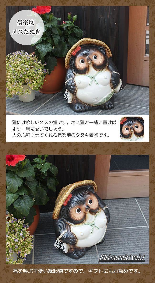 信楽焼 家族仲良しタヌキ /陶器 縁起物 たぬき 置物 未使用品 Amazon.co.jp: 信楽焼 家族仲良し狸 しがらきハンカチパッケージ