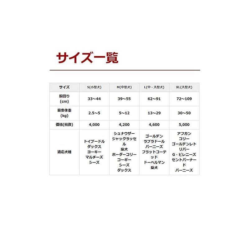 サイズL