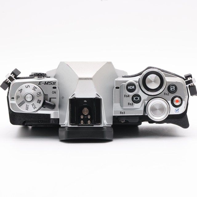 ☆特別限定モデル☆新品級 OLYMPUS OM-D E-M10 ＃355 20mp Olympus OM