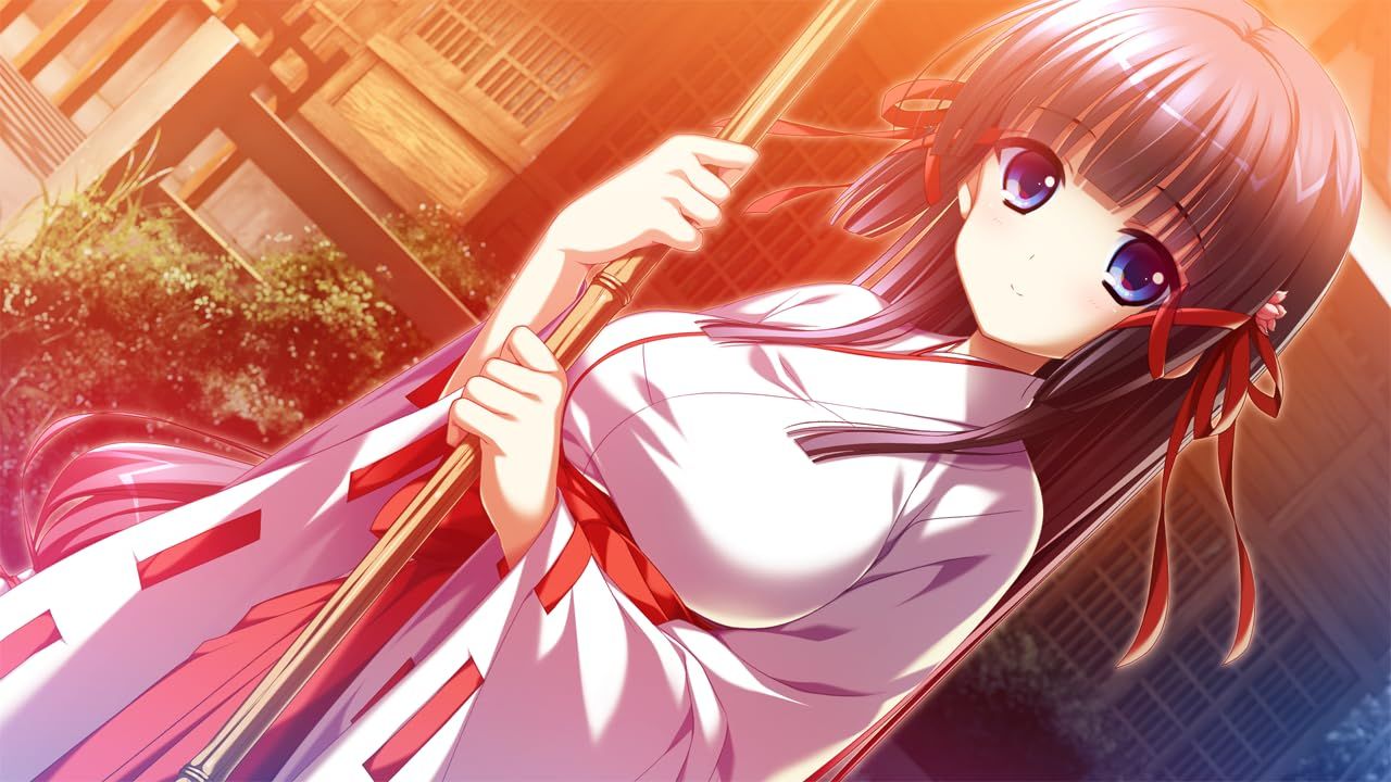 版 -Switch