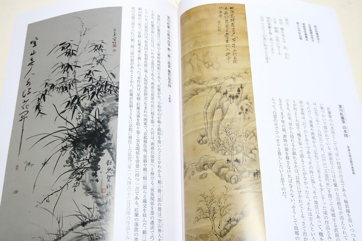 梁川紅蘭・女流文人画家の華麗なる世界/紅蘭の波乱に満ちた人生