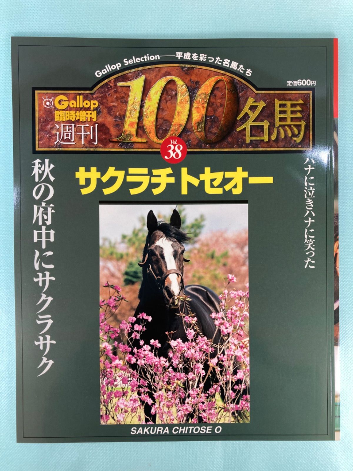 週刊ギャロップ100名馬　マンハッタンカフェ 週刊100名馬】マンハッタンカフェ 週刊Gallop ギャロップ ウマ娘