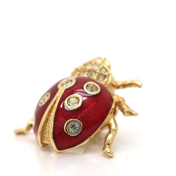 Chr.Dior ディオール Pin brooch Ladybug ピンブローチ てんとう