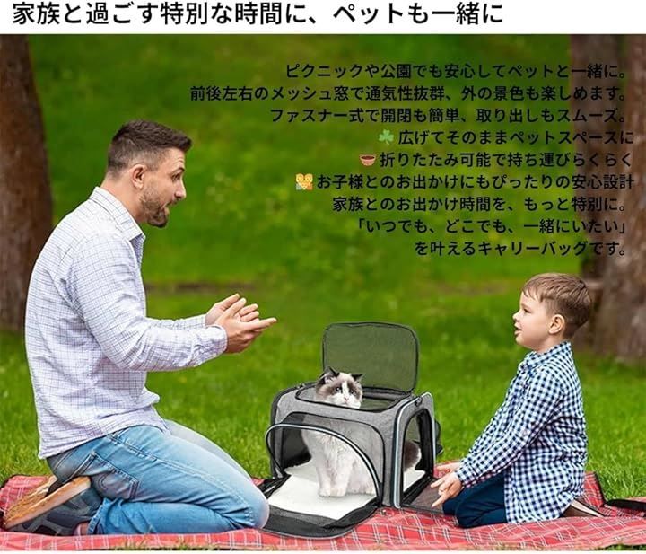 猫 犬