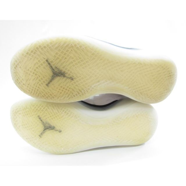 NIKE ナイキ Air Jordan 39 