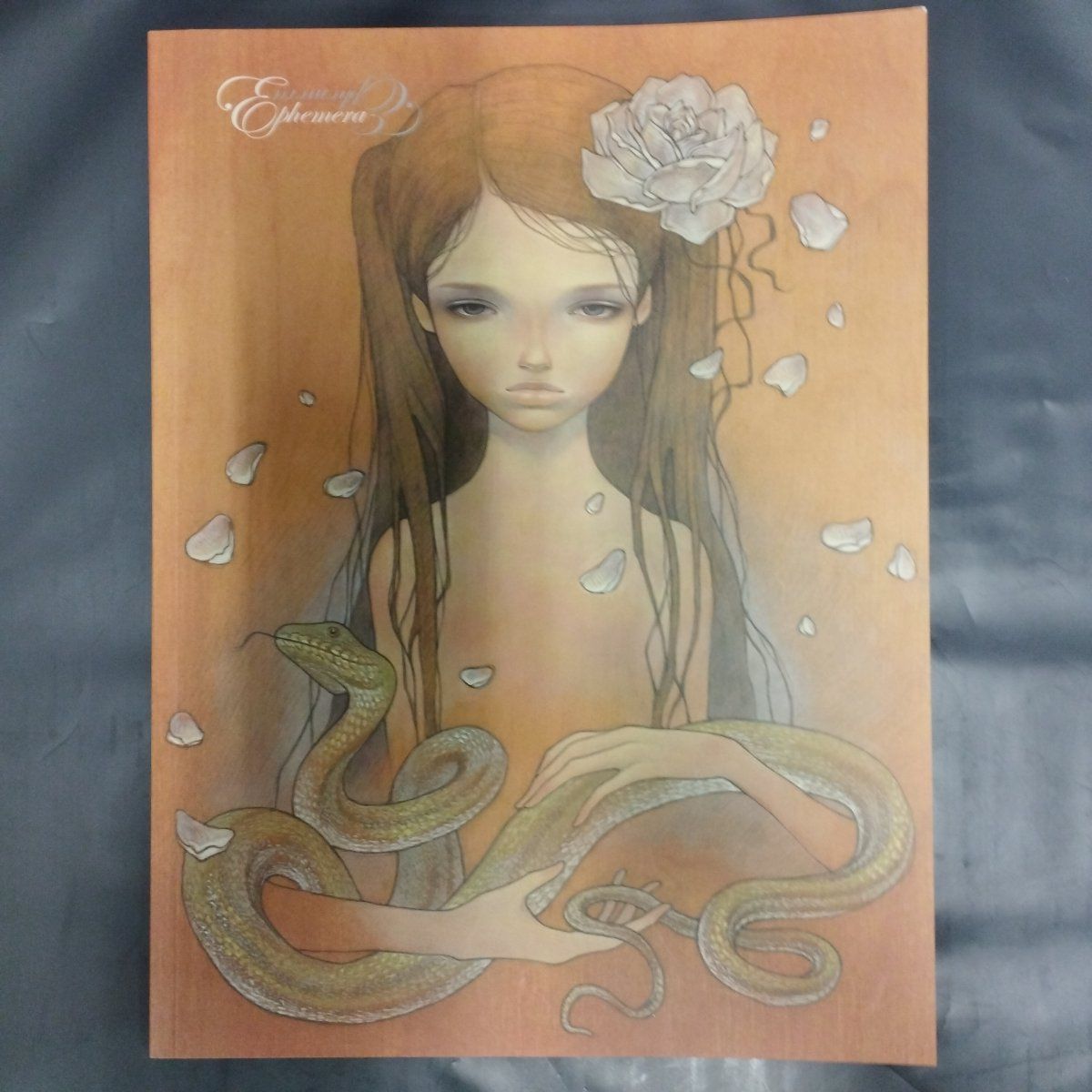 D13770 上田風子 オードリー カワサキ 図録