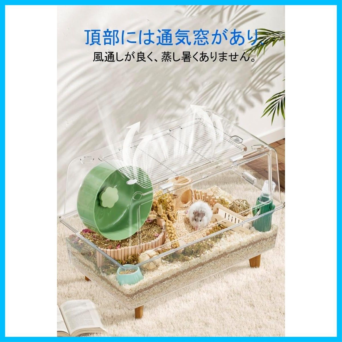透明