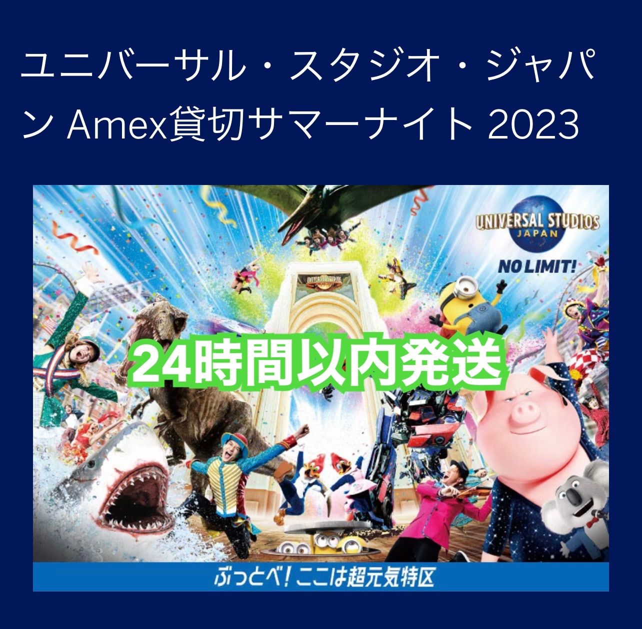 USJ】ユニバーサル・スタジオ・ジャパンAmex貸切サマーナイトチケット4