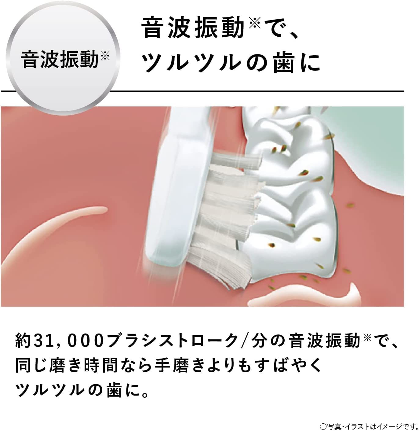 美容家電 パナソニック 電動歯ブラシ ドルツ スリム エントリーモデル