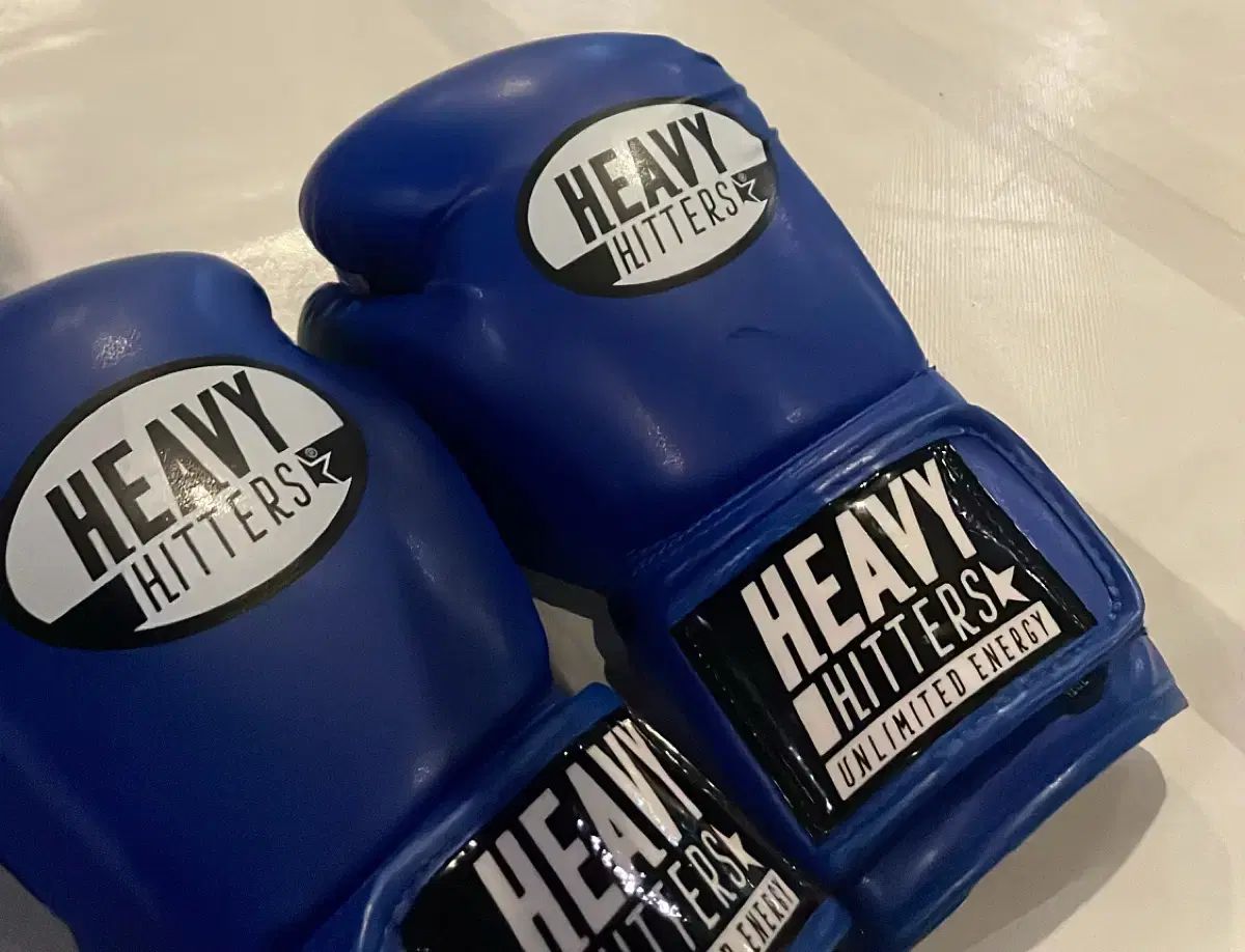 ヘビーヒーター ボクシング グローブ 12 オンス
