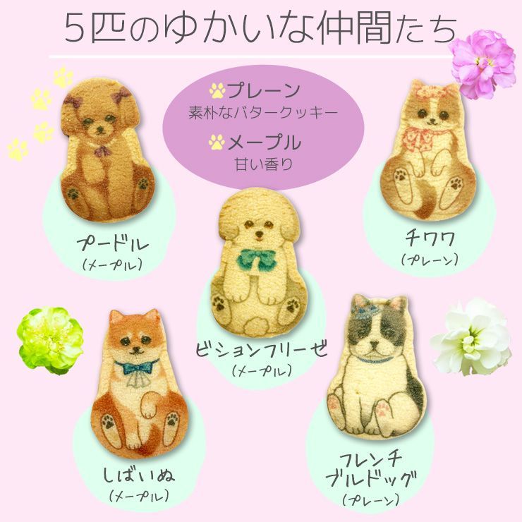 犬 お菓子 いぬさんクッキー ( 10枚入 ) グリーン 犬 いぬ 柴犬 