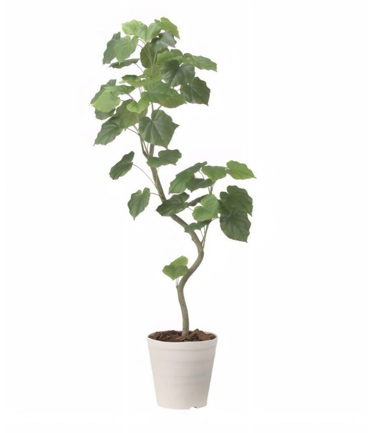 光触媒 人工観葉植物 ウォールグリーン フェイクグリーン 光触媒 人工観葉植物 ウォールグリーン フェイクグリーン