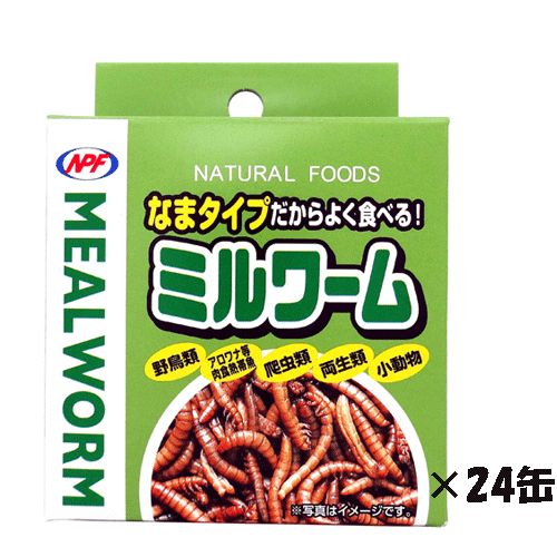 ナチュラルペットフーズ ミルワーム 35g×24缶